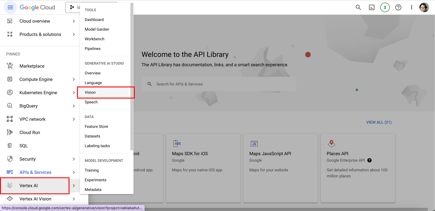 vertex api vision
