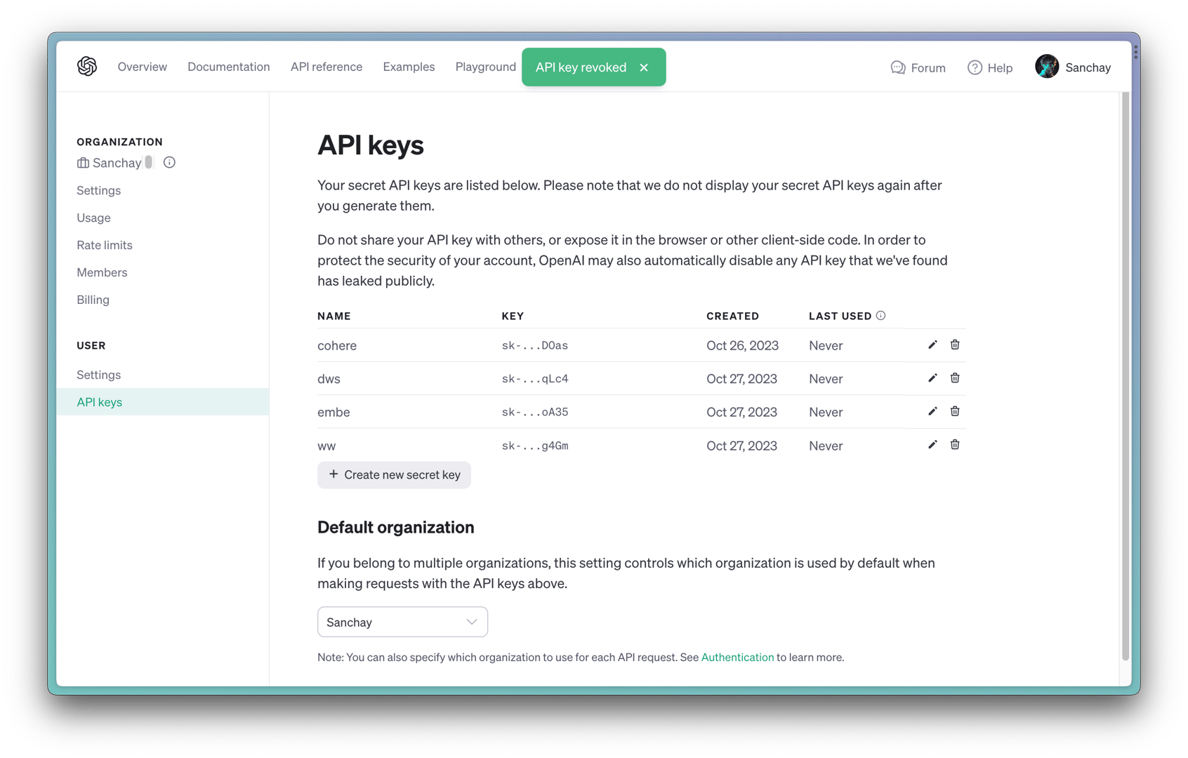 Input the Openai api key